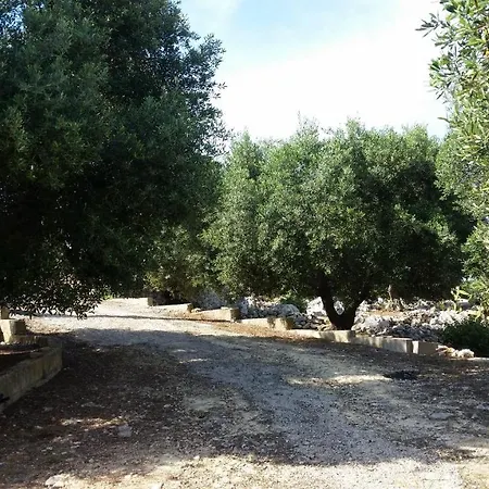 Casa Morena