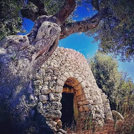 Casa Morena *